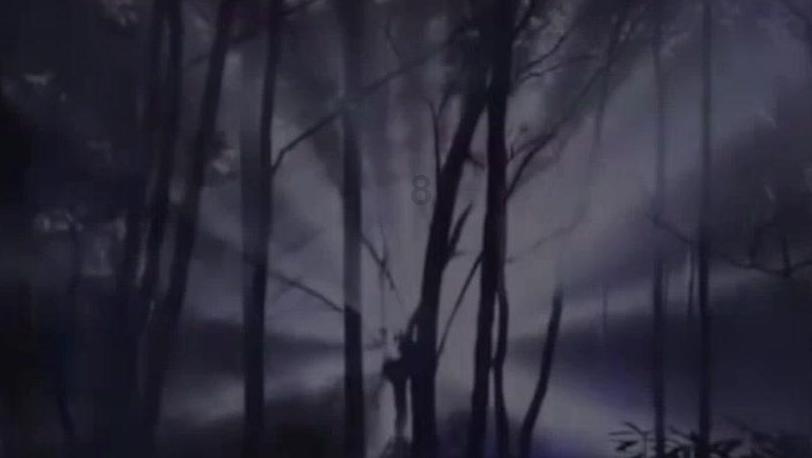 隐藏的间谍